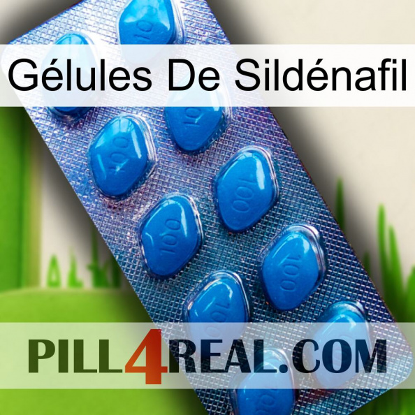 Gélules De Sildénafil viagra1.jpg